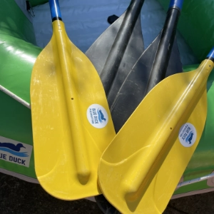 Paddles / Oars